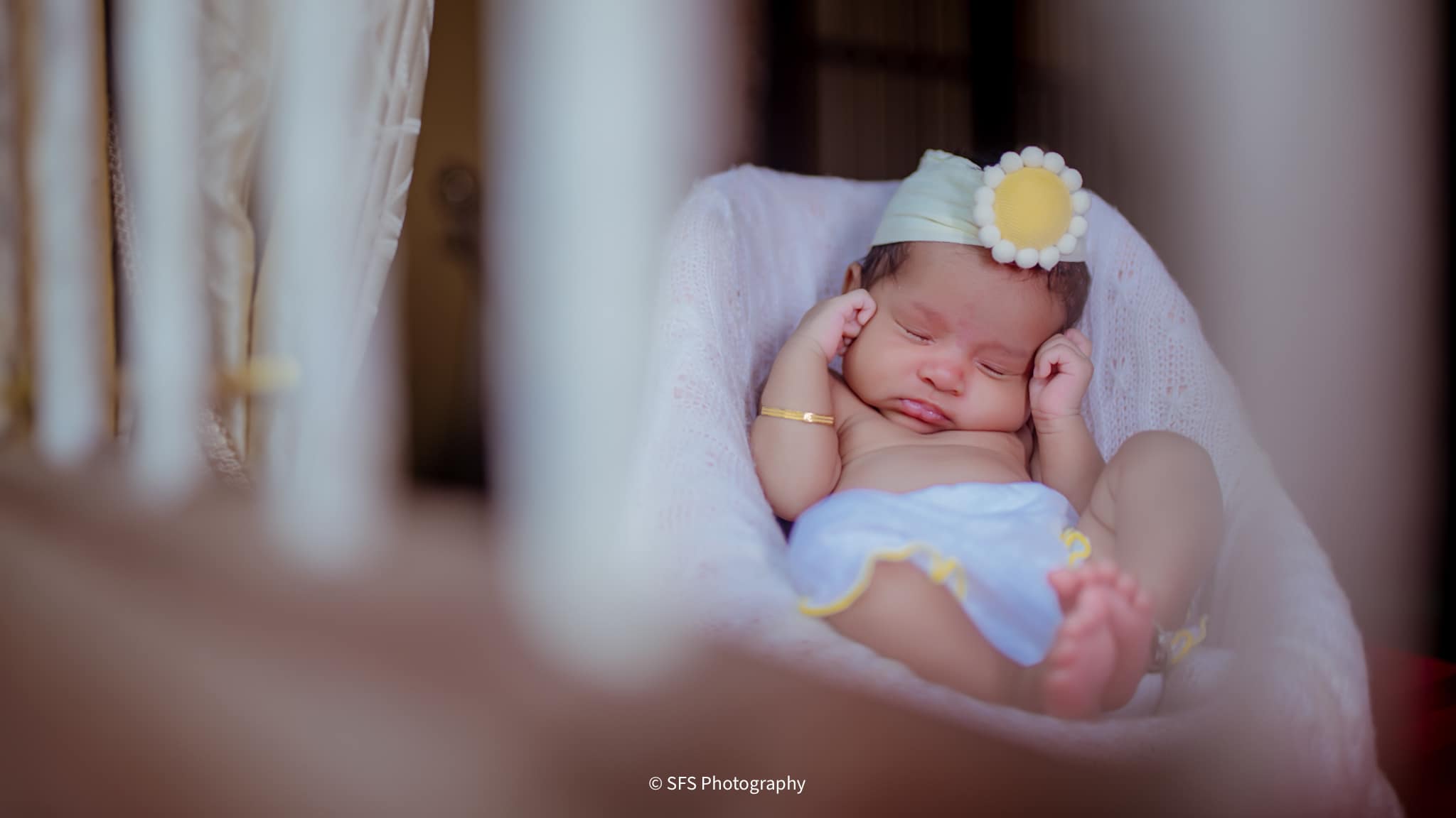 494029760_1245849207542065_9209131826703278478_n